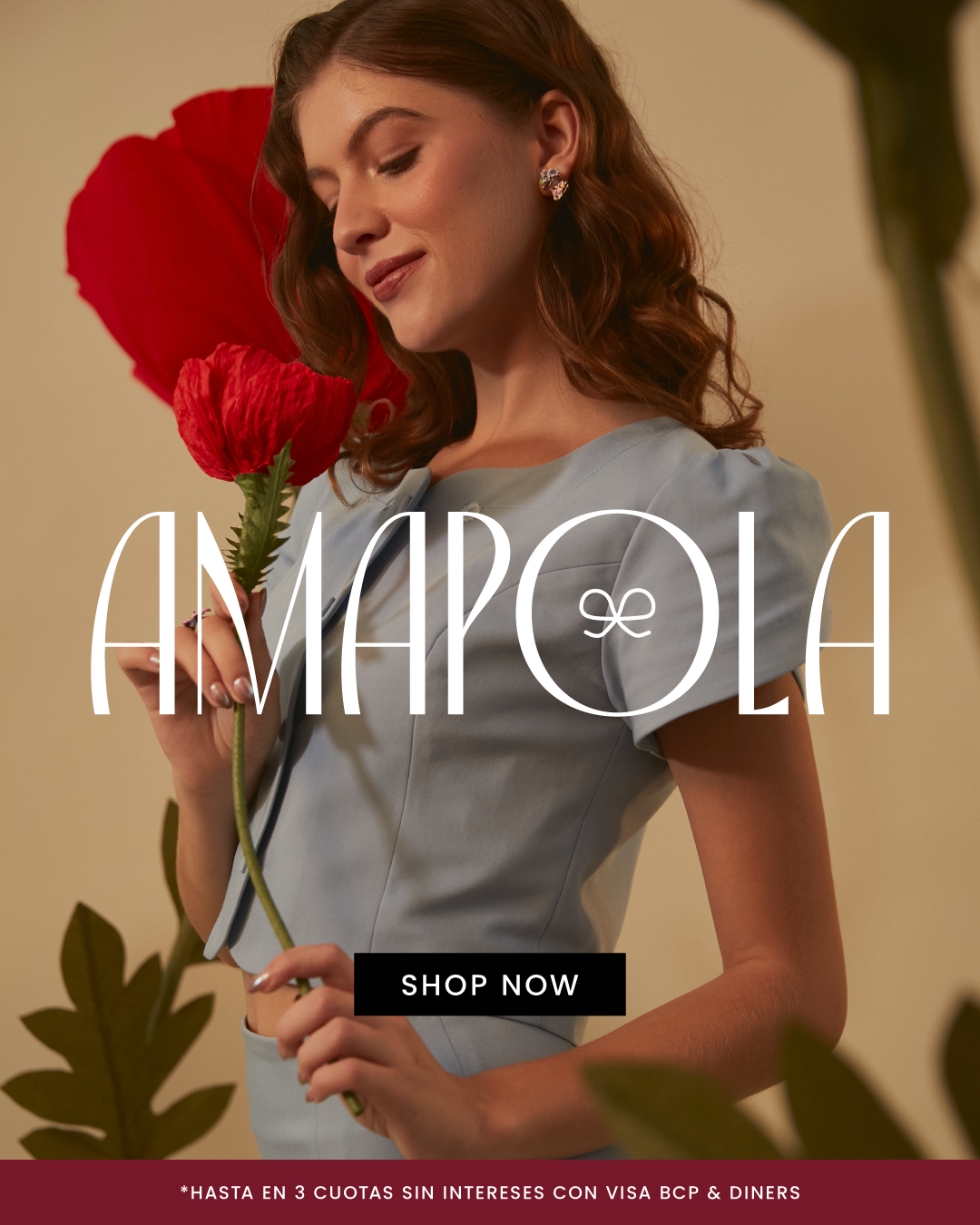 Amapola