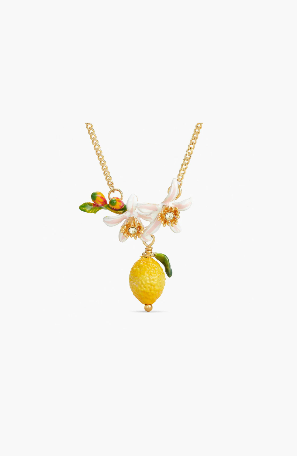 Collar de limón, capullo de flor y flor de limón